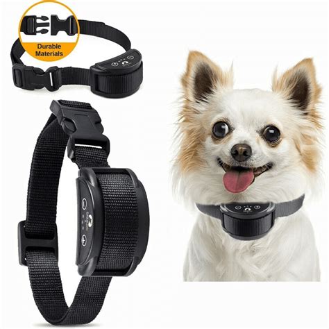 Enhance Your Pet's Well-Being with Magic Collar Carillats